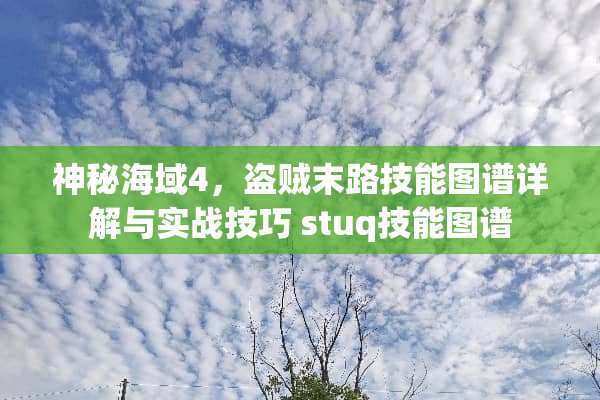 神秘海域4，盗贼末路技能图谱详解与实战技巧 stuq技能图谱