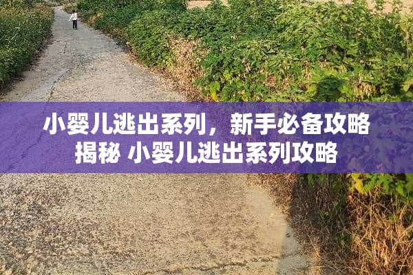 小婴儿逃出系列，新手必备攻略揭秘 小婴儿逃出系列攻略