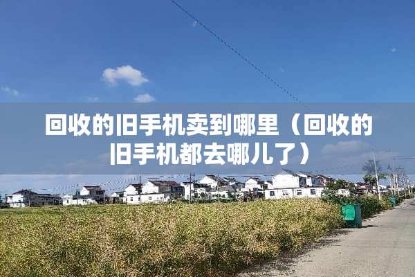回收的旧手机卖到哪里（回收的旧手机都去哪儿了）