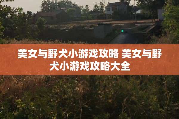 **与野犬小游戏攻略**与野犬小游戏攻略大全