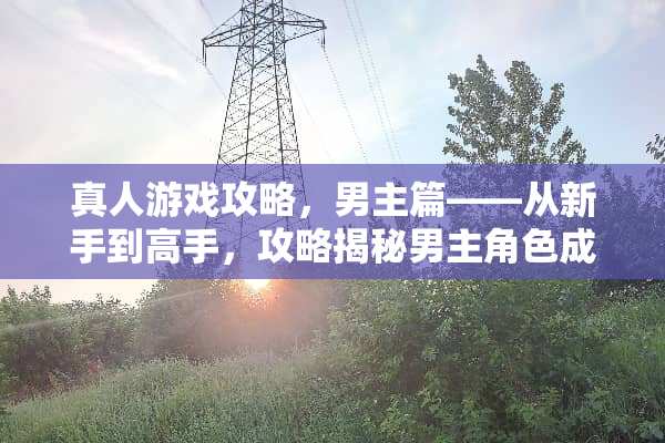 真人游戏攻略，男主篇——从新手到高手，攻略揭秘男主角色成长之路 真人游戏攻略男主