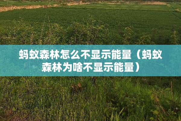 蚂蚁森林怎么不显示能量（蚂蚁森林为啥不显示能量）