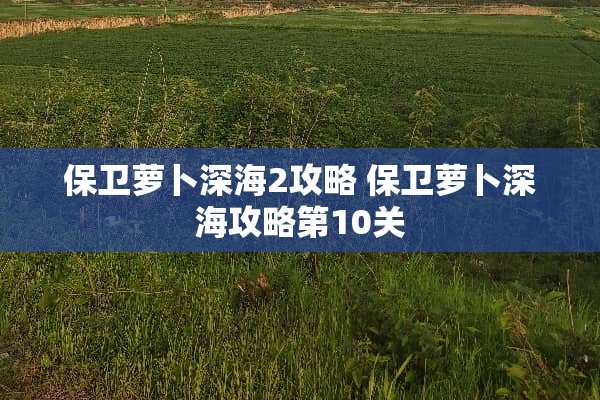 保卫萝卜深海2攻略 保卫萝卜深海攻略第10关