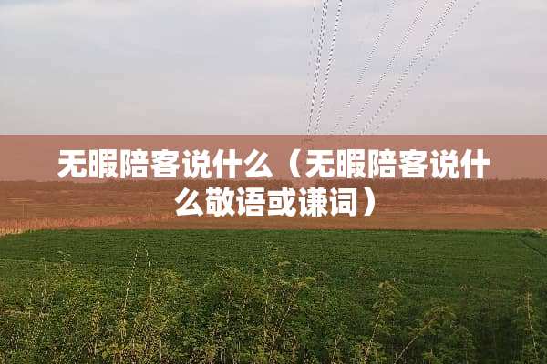 无暇陪客说什么（无暇陪客说什么敬语或谦词）