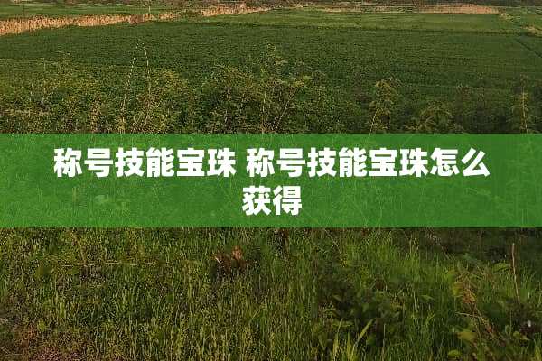 称号技能宝珠 称号技能宝珠怎么获得