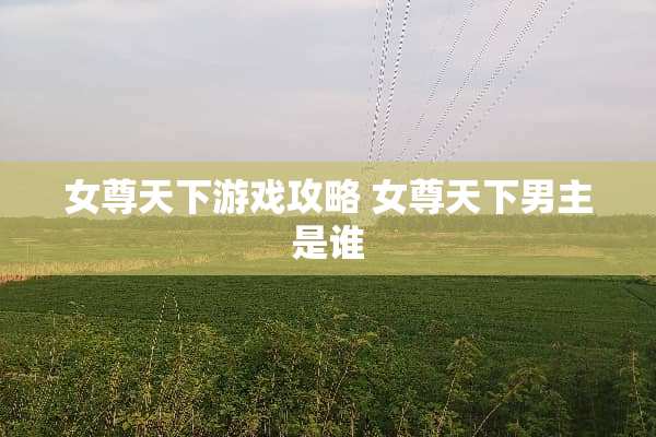 女尊天下游戏攻略 女尊天下男主是谁