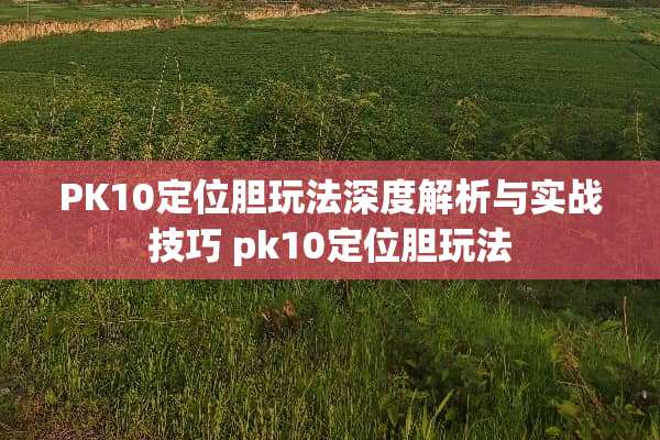 PK10定位胆玩法深度解析与实战技巧 pk10定位胆玩法
