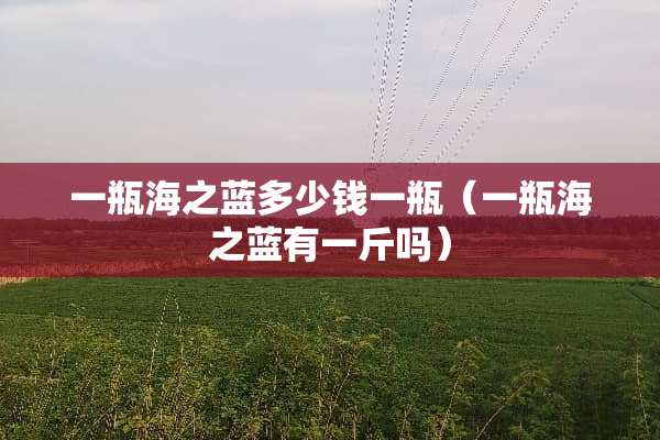 一瓶海之蓝多少钱一瓶（一瓶海之蓝有一斤吗）