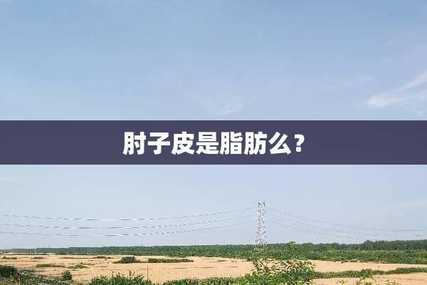 肘子皮是脂肪么？