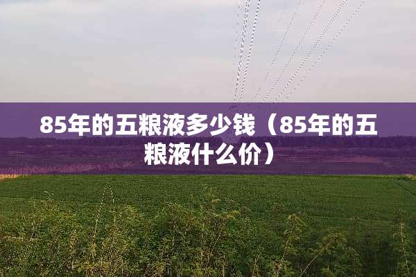 85年的五粮液多少钱（85年的五粮液什么价）