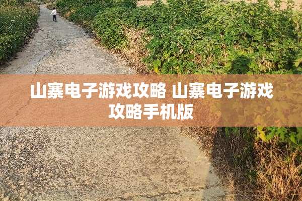 山寨电子游戏攻略 山寨电子游戏攻略手机版