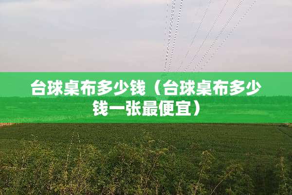 台球桌布多少钱（台球桌布多少钱一张最便宜）