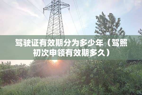 ***有效期分为多少年（驾照初次申领有效期多久）
