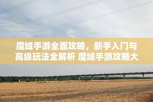 魔域手游全面攻略，新手入门与高级玩法全解析 魔域手游攻略大全