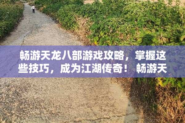 畅游天龙八部游戏攻略，掌握这些技巧，成为江湖传奇！ 畅游天龙八部游戏攻略