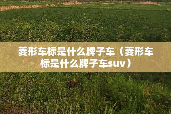 菱形车标是什么牌子车（菱形车标是什么牌子车suv）