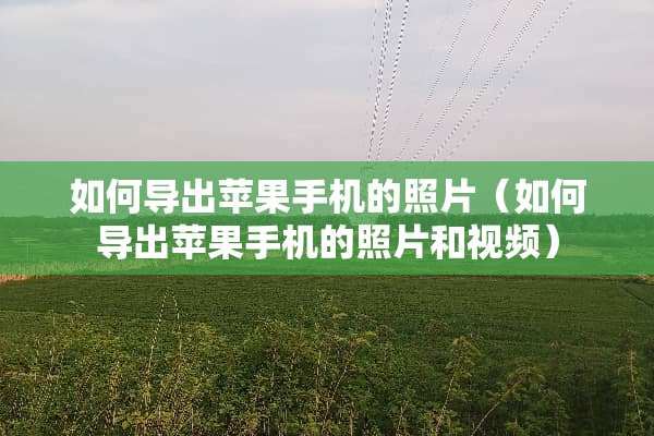 如何导出苹果手机的照片（如何导出苹果手机的照片和视频）