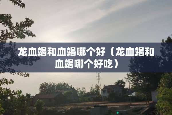 龙血竭和血竭哪个好（龙血竭和血竭哪个好吃）