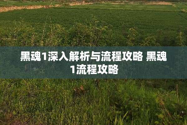 黑魂1深入解析与流程攻略 黑魂1流程攻略