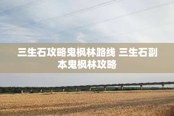三生石攻略鬼枫林路线 三生石副本鬼枫林攻略