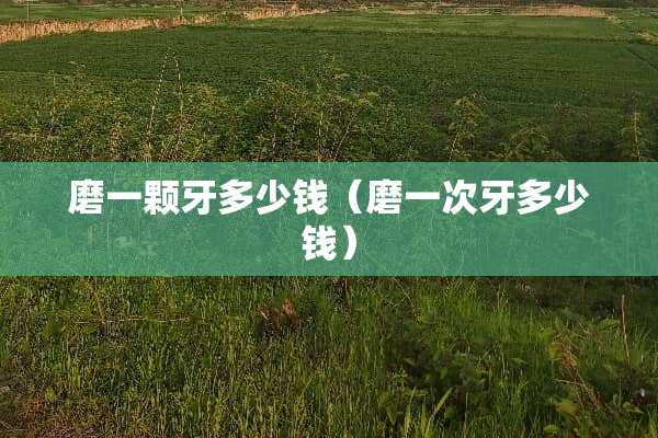 磨一颗牙多少钱（磨一次牙多少钱）