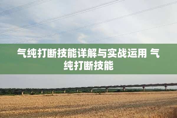 气纯打断技能详解与实战运用 气纯打断技能