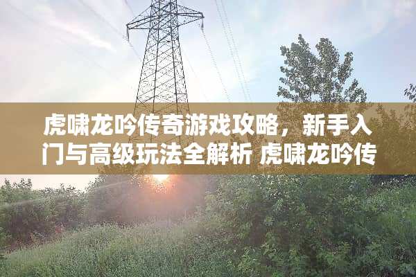 虎啸龙吟传奇游戏攻略，新手入门与高级玩法全解析 虎啸龙吟传奇游戏攻略图