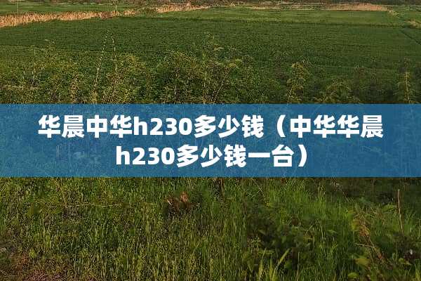 华晨中华h230多少钱（中华华晨h230多少钱一台）