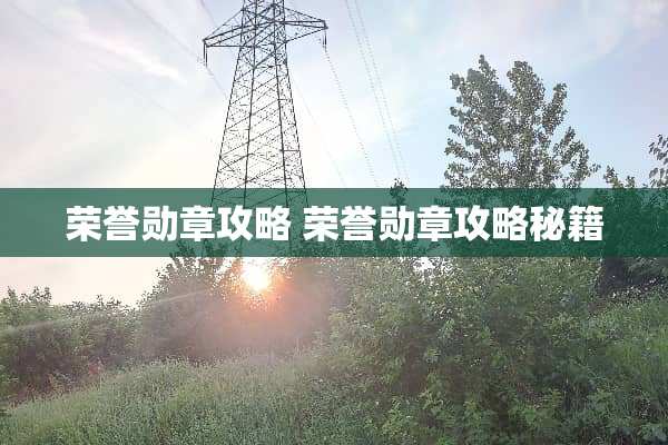 荣誉勋章攻略 荣誉勋章攻略秘籍