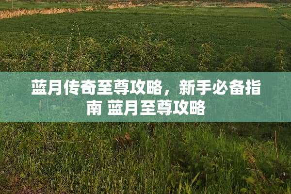 蓝月传奇至尊攻略，新手必备指南 蓝月至尊攻略