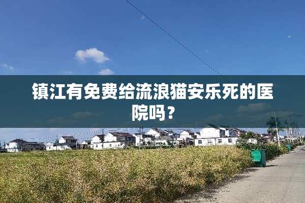 镇江有免费给流浪猫安乐死的医院吗？