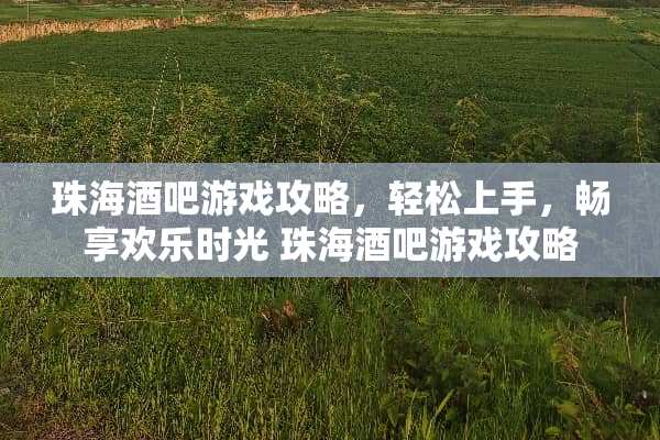 珠海酒吧游戏攻略，轻松上手，畅享欢乐时光 珠海酒吧游戏攻略