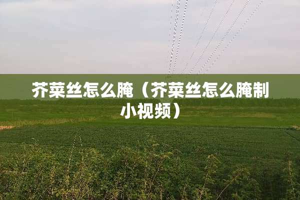 芥菜丝怎么腌（芥菜丝怎么腌制小视频）