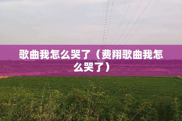 歌曲我怎么哭了（费翔歌曲我怎么哭了）