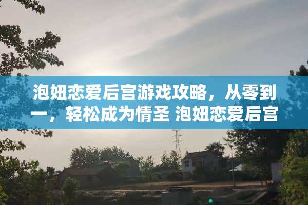 泡妞恋爱后宫游戏攻略，从零到一，轻松成为情圣 泡妞恋爱后宫游戏攻略