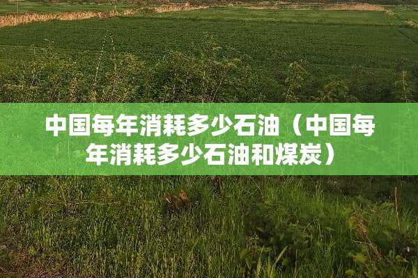 中国每年消耗多少石油（中国每年消耗多少石油和煤炭）