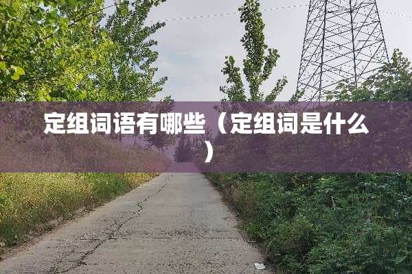 定组词语有哪些（定组词是什么）