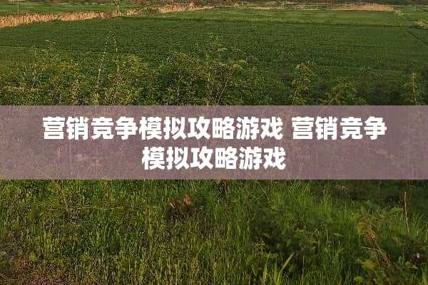 营销竞争模拟攻略游戏 营销竞争模拟攻略游戏