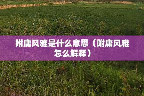 附庸风雅是什么意思（附庸风雅怎么解释）