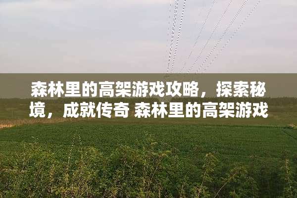 森林里的高架游戏攻略，探索秘境，成就传奇 森林里的高架游戏攻略