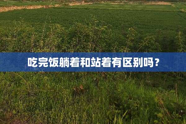 吃完饭躺着和站着有区别吗？