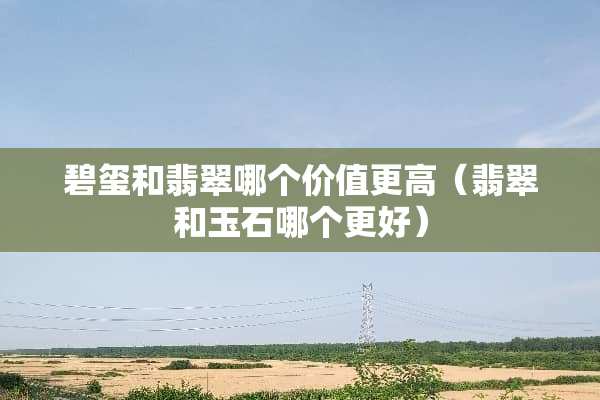 碧玺和翡翠哪个价值更高（翡翠和玉石哪个更好）