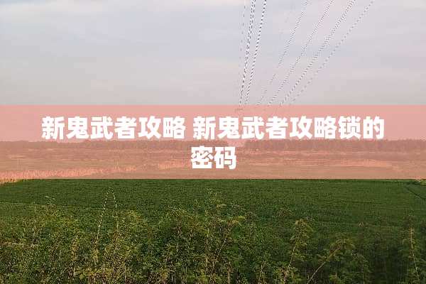 新鬼武者攻略 新鬼武者攻略锁的密码
