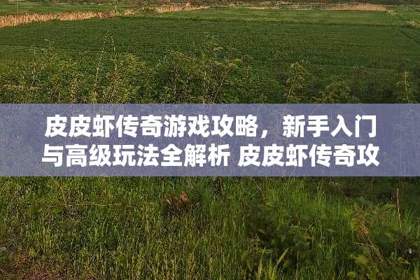皮皮虾传奇游戏攻略，新手入门与高级玩法全解析 皮皮虾传奇攻略
