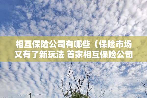 相互保险公司有哪些（保险市场又有了新玩法 首家相互保险公司获批开业）