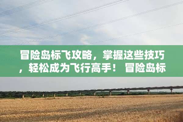 冒险岛标飞攻略，掌握这些技巧，轻松成为飞行高手！ 冒险岛标飞攻略