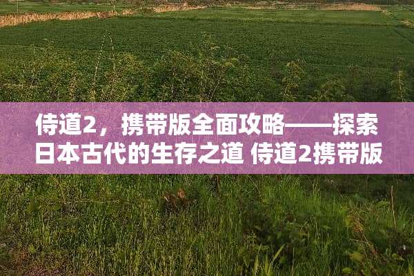 侍道2，携带版全面攻略——探索日本古代的生存之道 侍道2携带版攻略