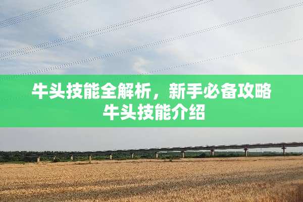 牛头技能全解析，新手必备攻略 牛头技能介绍