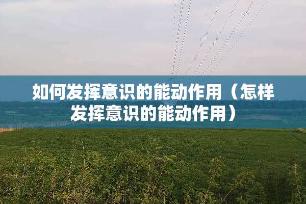 如何发挥意识的能动作用（怎样发挥意识的能动作用）