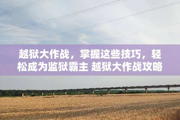 越狱大作战，掌握这些技巧，轻松成为监狱霸主 越狱大作战攻略